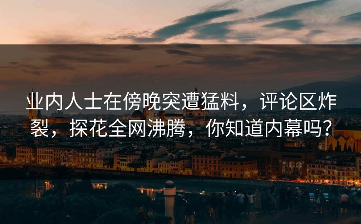 业内人士在傍晚突遭猛料，评论区炸裂，探花全网沸腾，你知道内幕吗？
