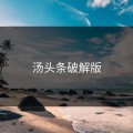 汤头条破解版