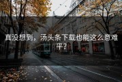 真没想到，汤头条下载也能这么意难平？