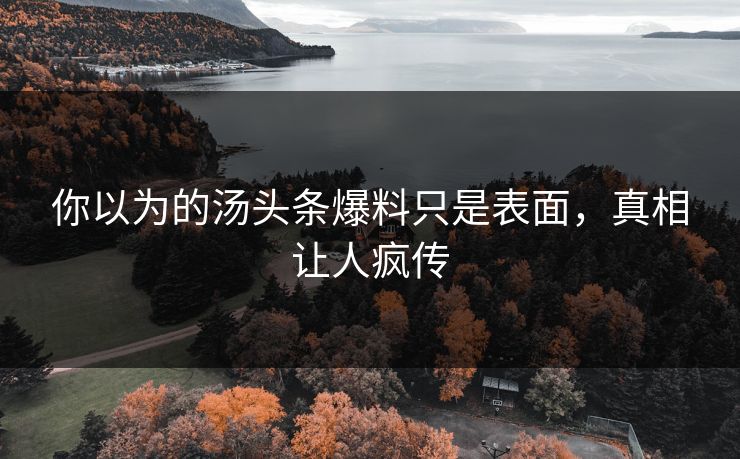你以为的汤头条爆料只是表面，真相让人疯传