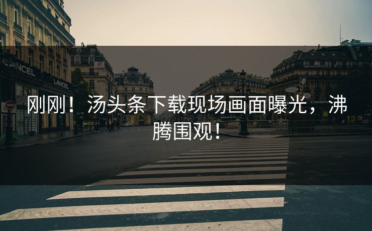 刚刚！汤头条下载现场画面曝光，沸腾围观！