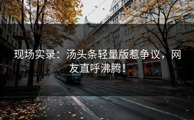 现场实录：汤头条轻量版惹争议，网友直呼沸腾！
