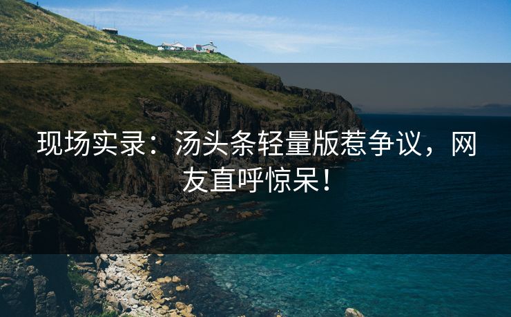 现场实录：汤头条轻量版惹争议，网友直呼惊呆！