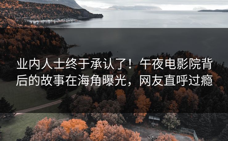 业内人士终于承认了！午夜电影院背后的故事在海角曝光，网友直呼过瘾